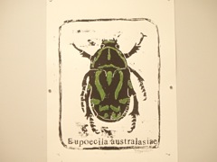 PB030078