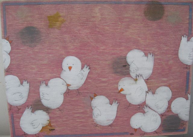 Chicks